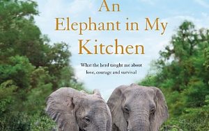 ‘An Elephant in My Kitchen’ book talk at Nantwich Bookshop