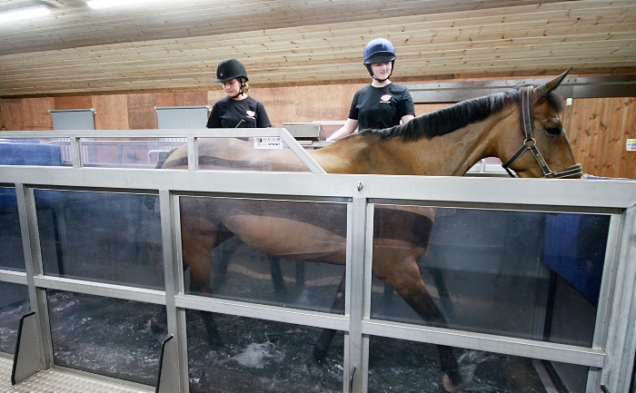 Rookery Equine centre at reaseheath college