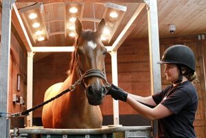 Reaseheath College and Rookery Equine launch new training course