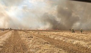 Several fire crews tackle large blaze on farmland near Audlem
