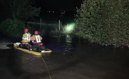 fire rescue teams save cows in canal
