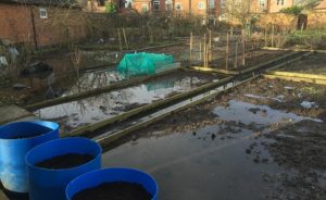 flooded allotments at Brookfield in February 2017