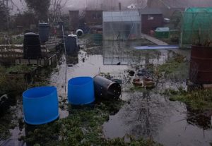 Flooded allotments on Brookfield, Nantwich