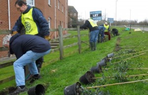 Rotary Club members plant hedge along Waterlode in Nantwich