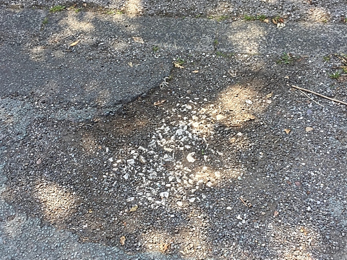 large 'craters' in South Crofts road