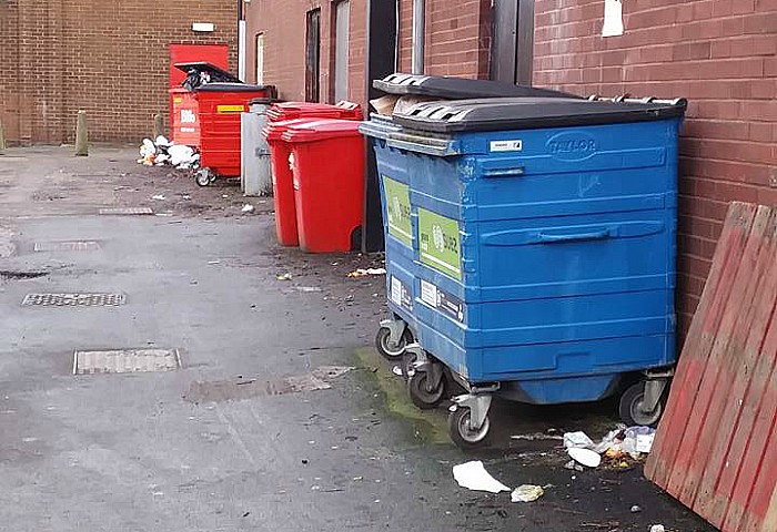 litter and wheelie bins back of Swine Market stores in Nantwich