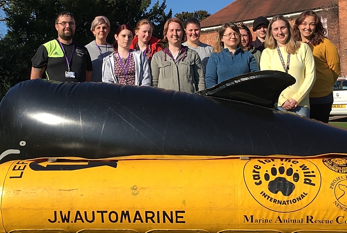 marine mammal medic - beached whale reaseheath college