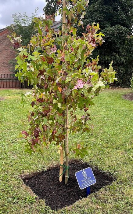 memorial tree for maurice jones