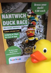 nantwich duck race poster