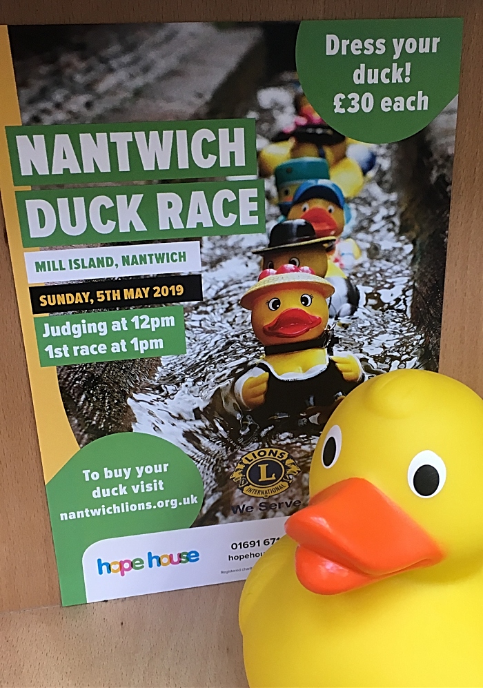 Hospice to stage Mill Island fundraising duck race in Nantwich ...