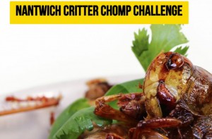 Nantwich Food Festival to stage “Critter Chomp” insect eating challenge