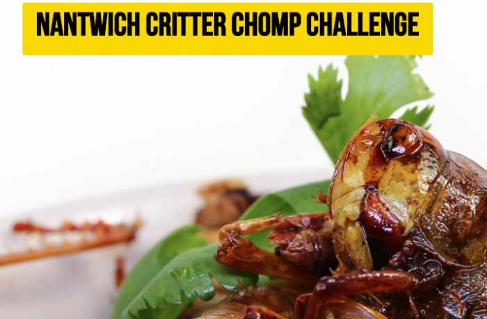 nantwich food festival critter chomp challenge