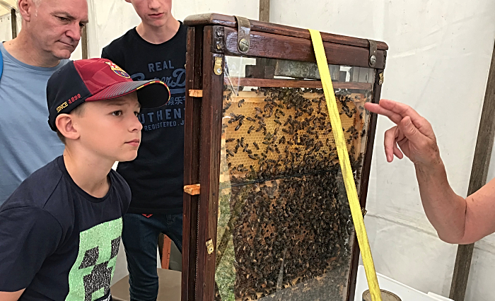 onlookers view the bees at Nantwich Show (1)