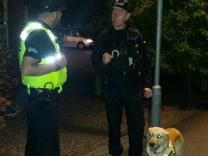 Operation Taro drugs dog targets Nantwich revellers