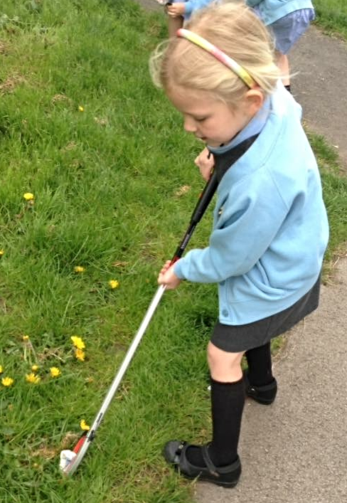 pear tree pupil collecting litter