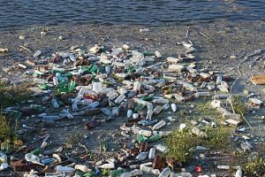 Councillors back Plastic Free Nantwich motion