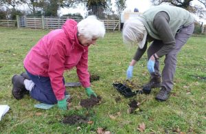 Cheshire Wildlife Trust creates new meadows after fund-raising appeal