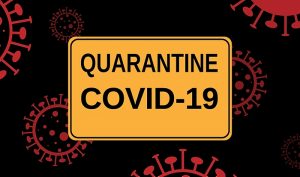 Surviving Quarantine: Our guide from a local mental health expert