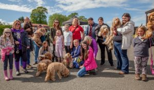 Doggy Day Out families gather in Nantwich for Elle’s Wishes