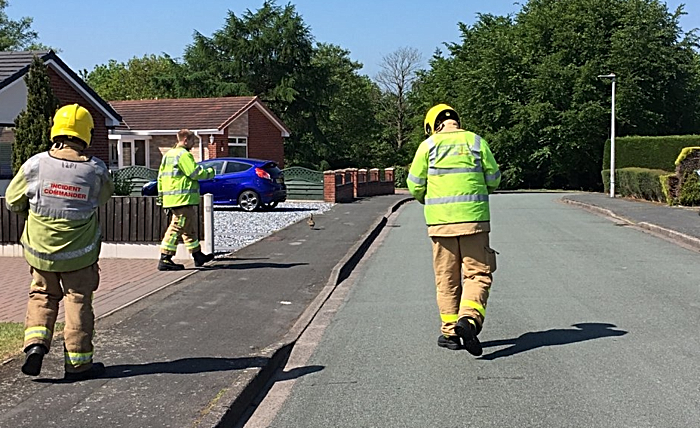 rescue team with ducklings