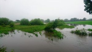 river weaver in wrenbury, pic by Oly Lowe