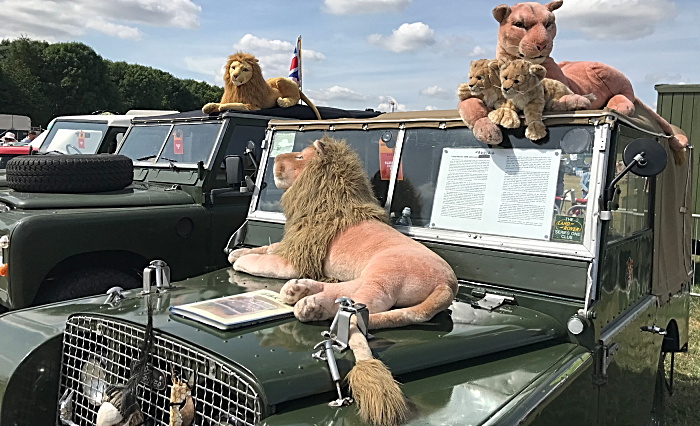 safari comes to Nantwich Show