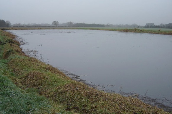 slurry lagoon - pic by Martin Dawes under creative commons licence