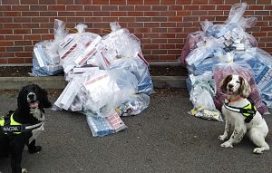 50,000 cigarettes seized in South Cheshire crackdown on illegal tobacco