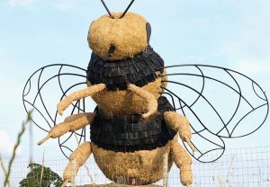 Giant bee sculpture unveiled by Snugburys near Nantwich