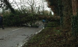 Storm Doris causes havoc across Nantwich and Cheshire