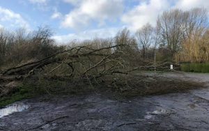 Floods and fallen trees across South Cheshire during Storm Ciara