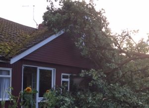 Nantwich couple’s shock as trees crash through their home