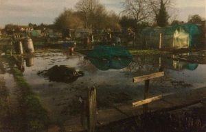 Flooding mystery as Nantwich allotment holders left under water
