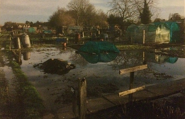 underwater - brookfield allotment site in Nantwich