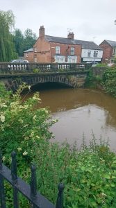 weaver in nantwich - by Sarah Cotton